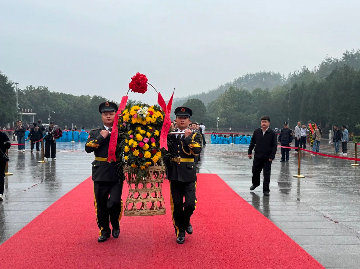 1765328575480789.png image.png