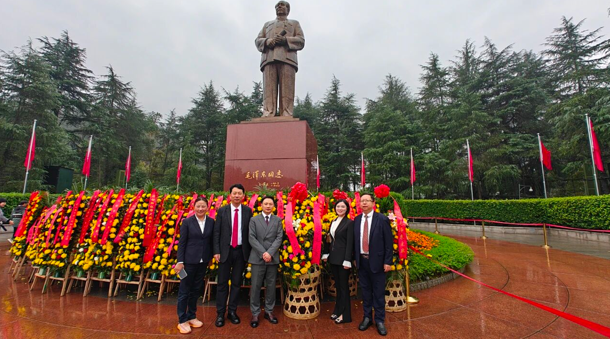 1765329021743810.png image.png